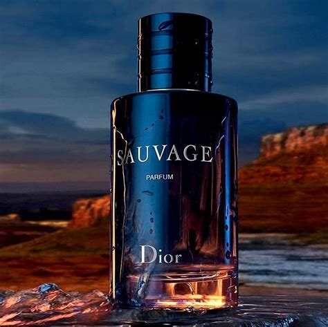 dupe for|dupe for dior sauvage.